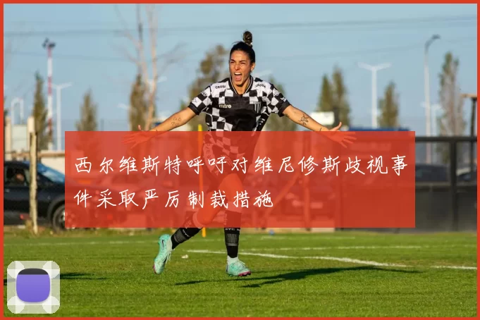 西尔维斯特呼吁对维尼修斯歧视事件采取严厉制裁措施
