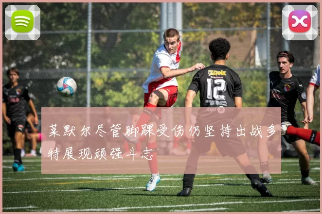 莱默尔尽管脚踝受伤仍坚持出战多特展现顽强斗志